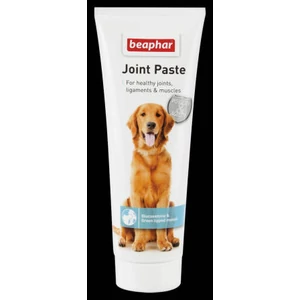 BEAPHAR JOINT PASTE ÍZÜLETVÉDŐ PASZTA 250GR