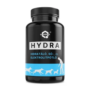 Hydra Hidratáló, Sópótló, Elektrolitpótló 50gr