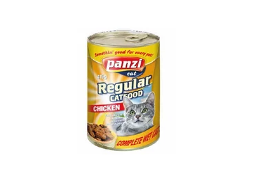 Panzi